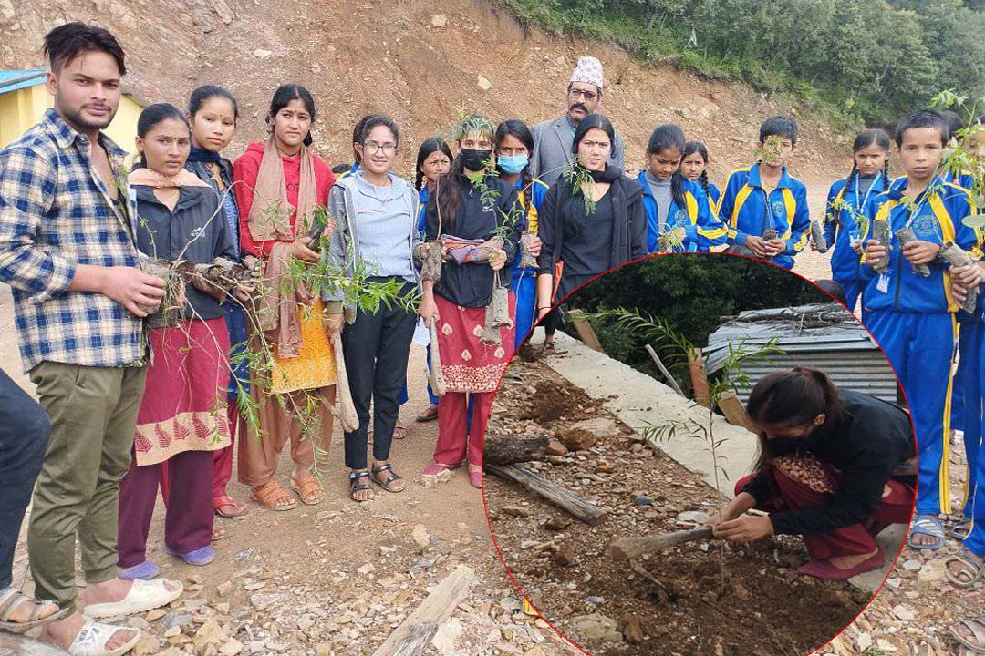 बैतडीको पाटन -८ मा युवाक्लवद्वारा वृक्षा रोपण